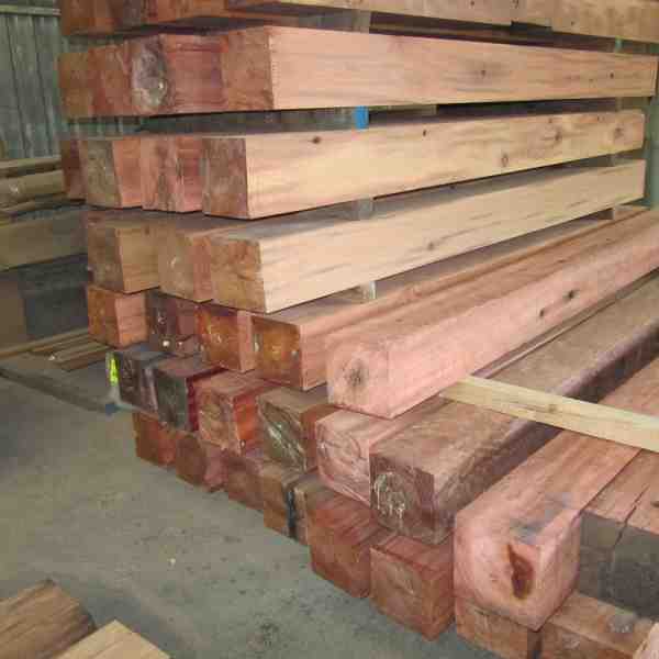Forest Red Gum posts