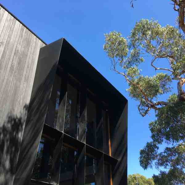 Charred timber cladding