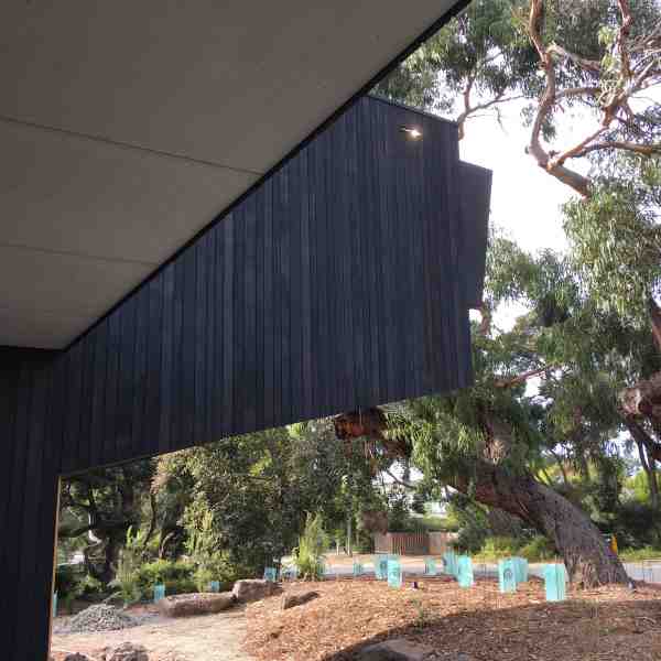 Charred timber cladding
