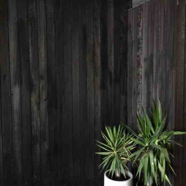 Charred cladding