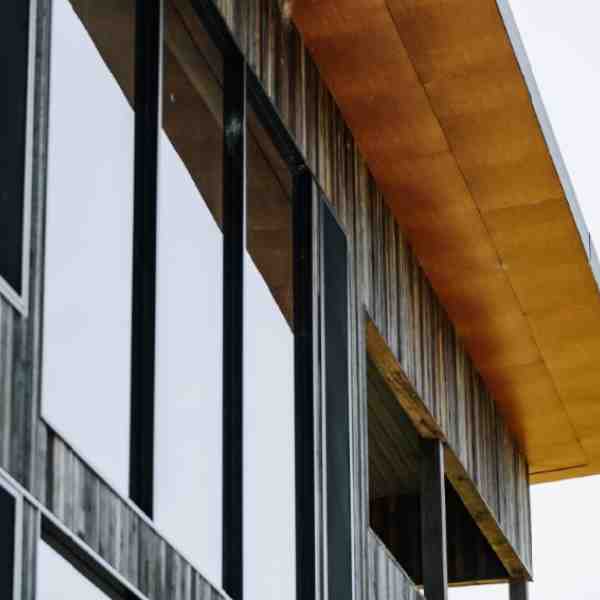Ionclad1
