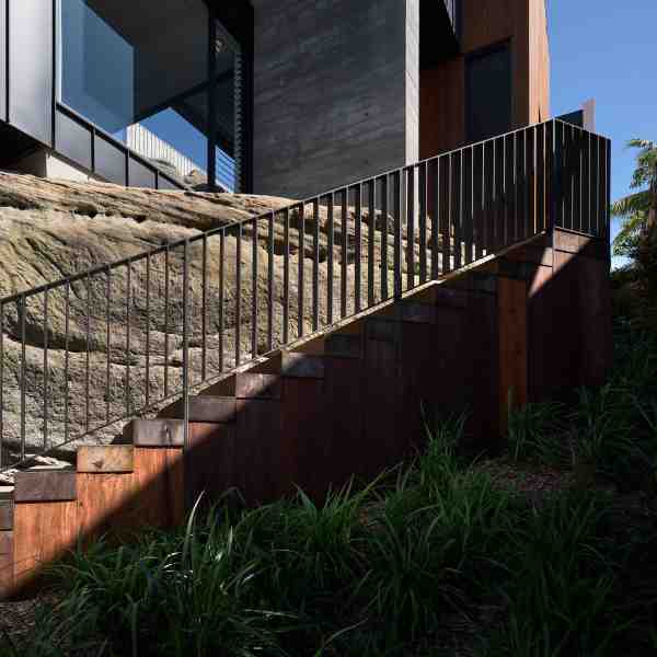 blackbutt curl curl