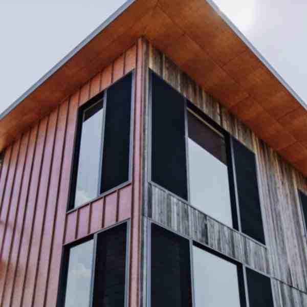 Ionclad1