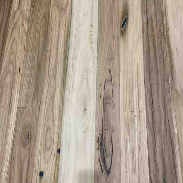 Blackbutt Flooring