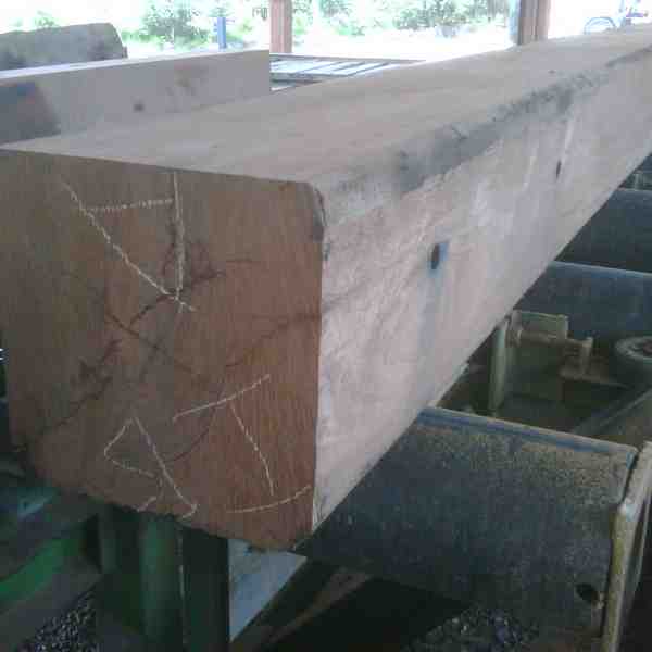 Ironbark Posts