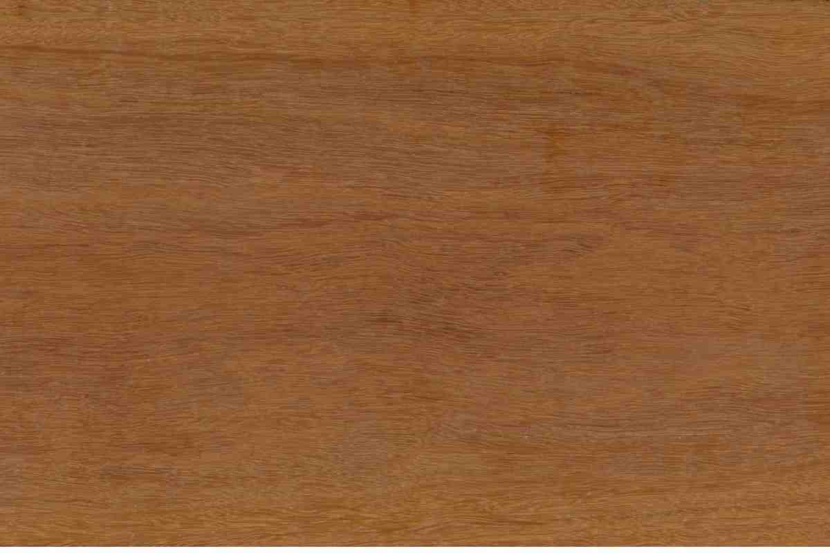 Ironbark