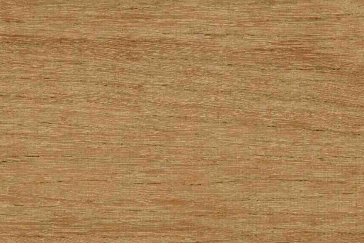 Blackbutt BB-7