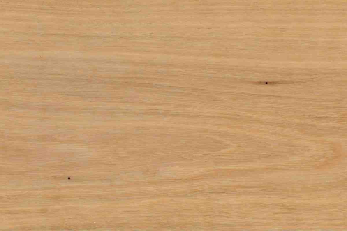 Blackbutt BB-1
