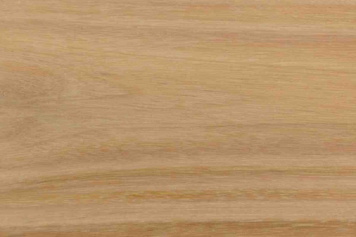 Blackbutt BB-2