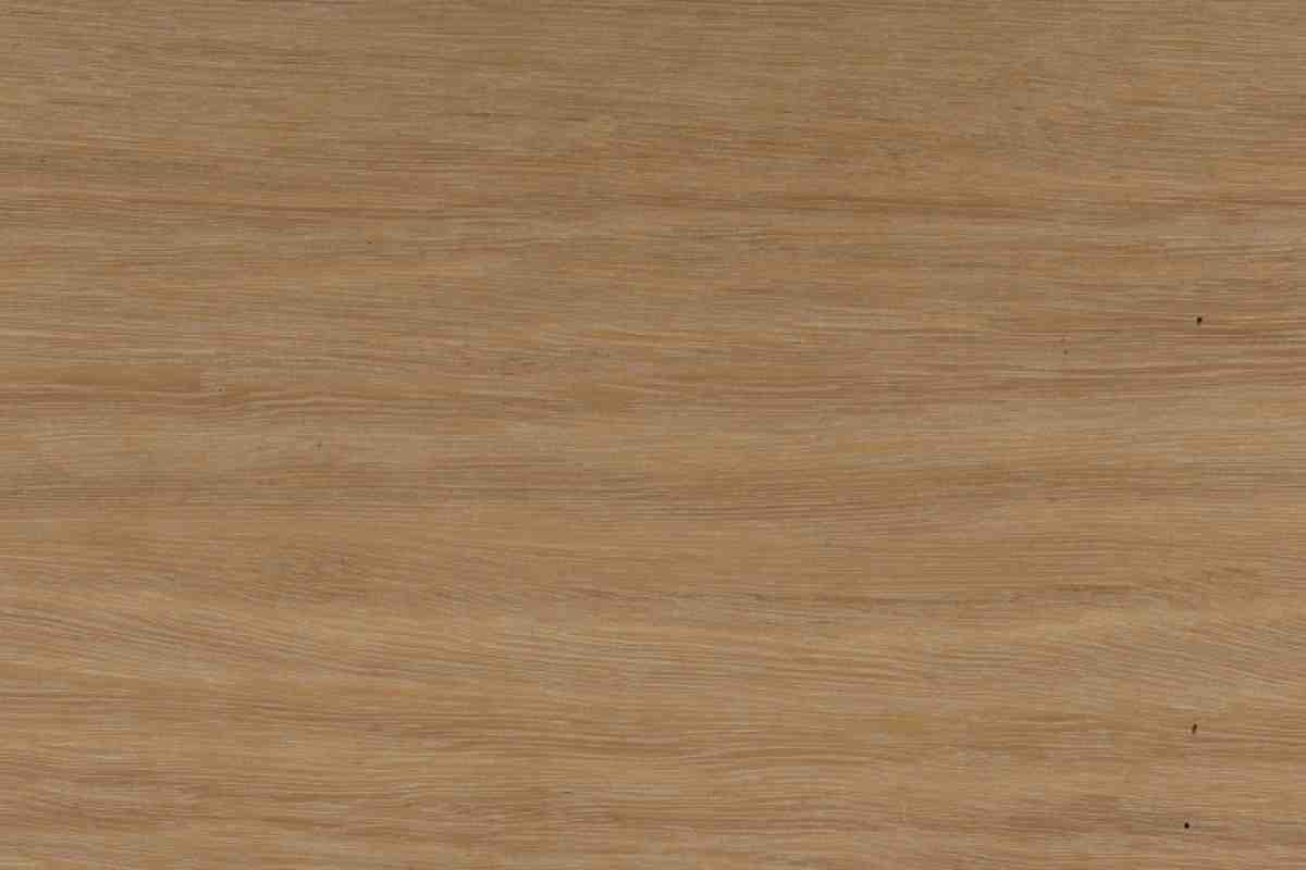 Blackbutt BB-3