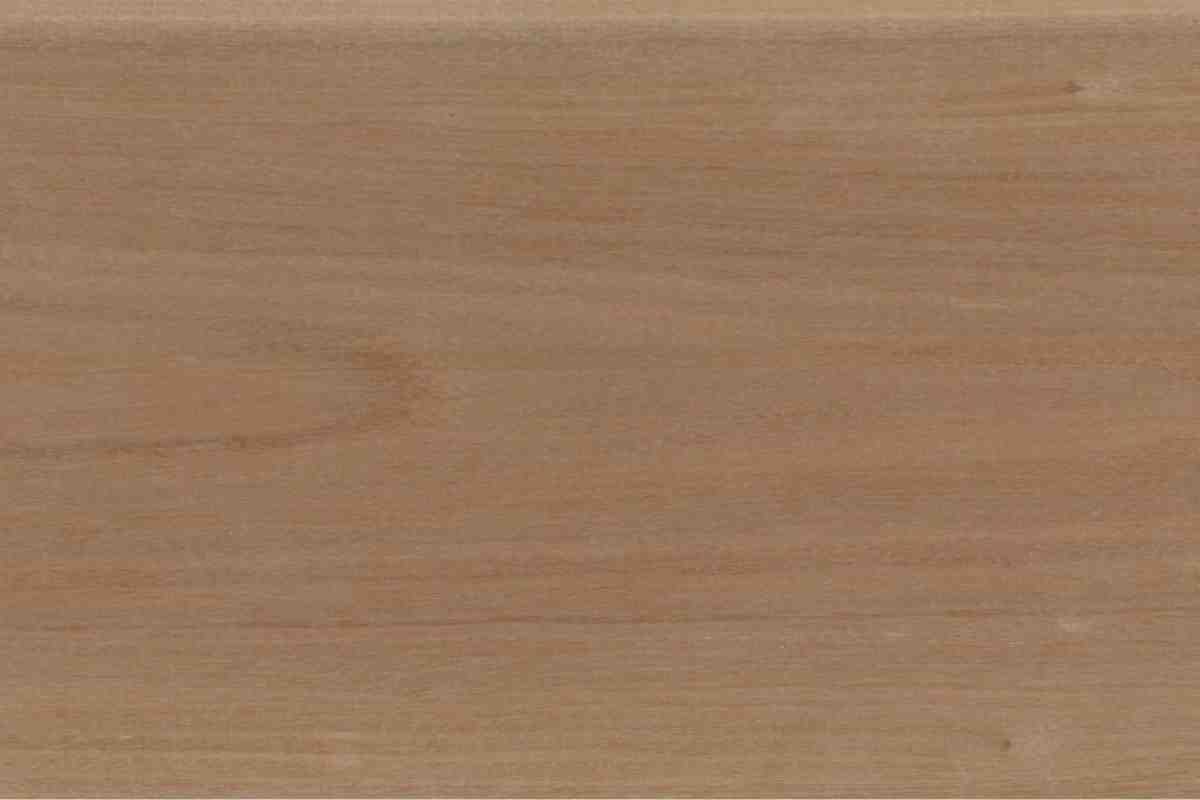 Brushbox BX-4