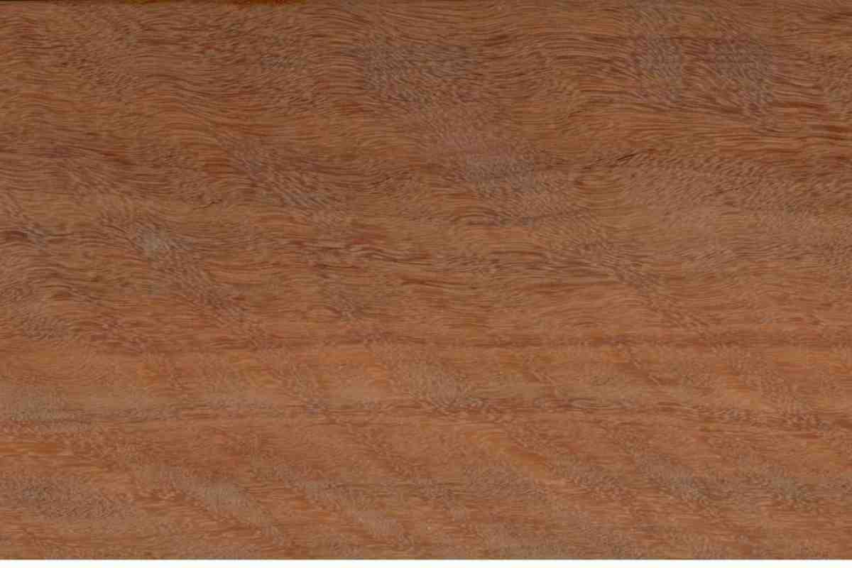 Jarrah JR-1