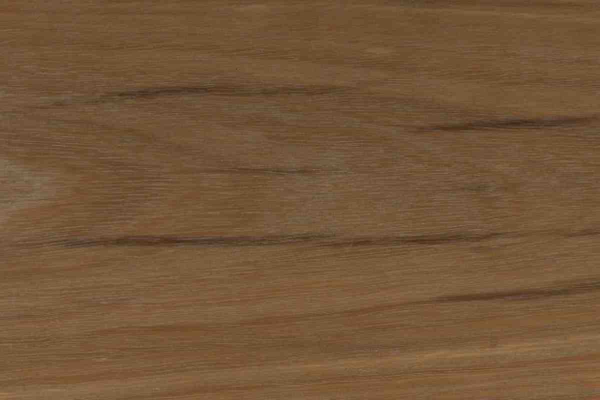 Spotted Gum SG-5