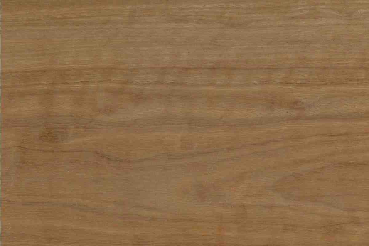 Spotted Gum SG-1